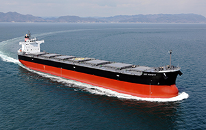 Nippon Yuka Kogyo Co., Ltd.